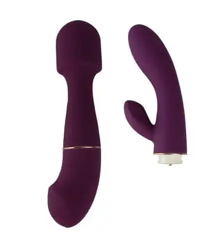 Loving Joy DUA Interchangeable Vibrator with 2 Attachments