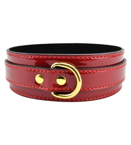 Bound to Please Red Bondage Collar